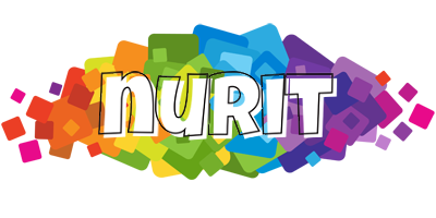 Nurit pixels logo