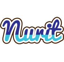 Nurit raining logo
