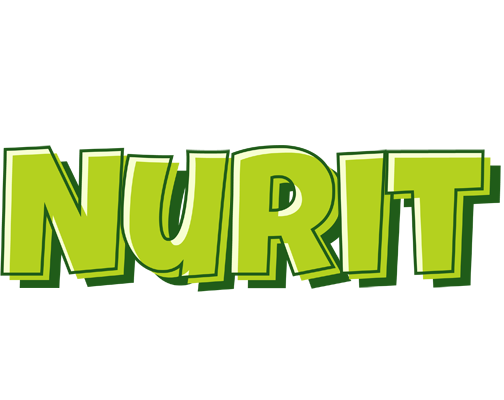 Nurit summer logo