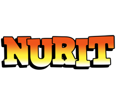 Nurit sunset logo
