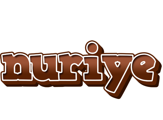 Nuriye brownie logo