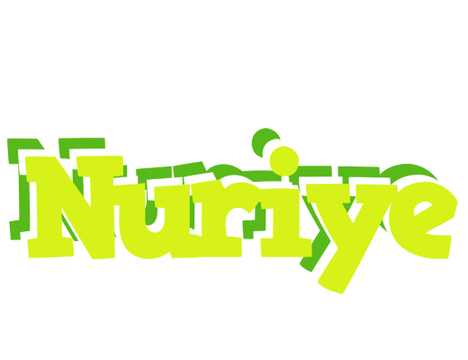 Nuriye citrus logo