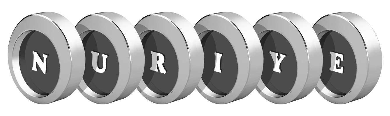 Nuriye coins logo
