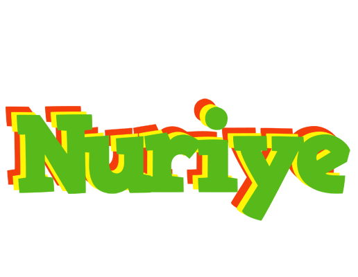 Nuriye crocodile logo