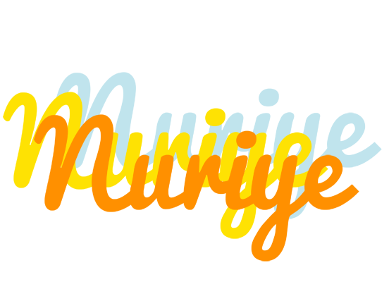 Nuriye energy logo