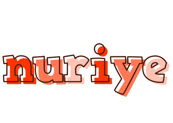 Nuriye paint logo