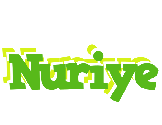 Nuriye picnic logo