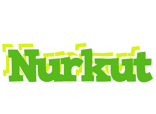 Nurkut picnic logo