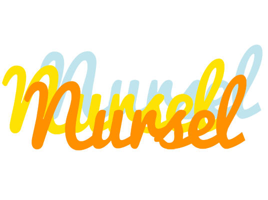 Nursel energy logo