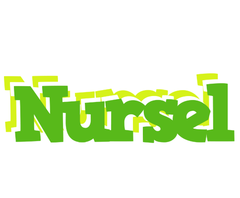 Nursel picnic logo