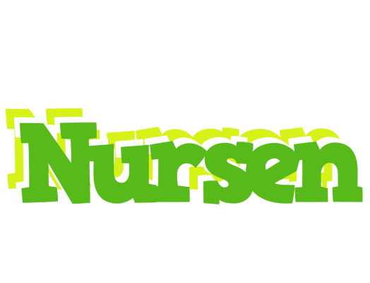 Nursen picnic logo