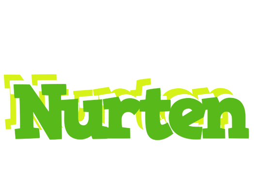 Nurten picnic logo