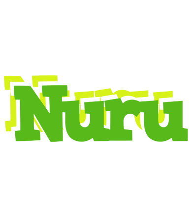 Nuru picnic logo