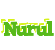 Nurul picnic logo