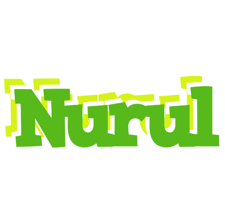 Nurul picnic logo