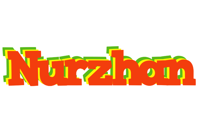 Nurzhan bbq logo