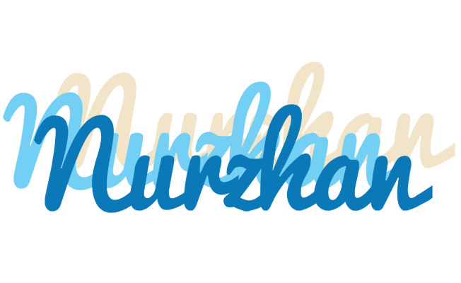 Nurzhan breeze logo
