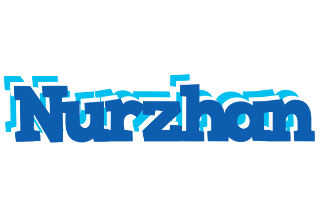 Nurzhan business logo