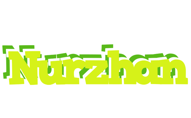 Nurzhan citrus logo