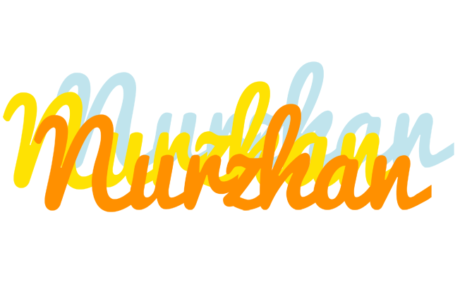 Nurzhan energy logo