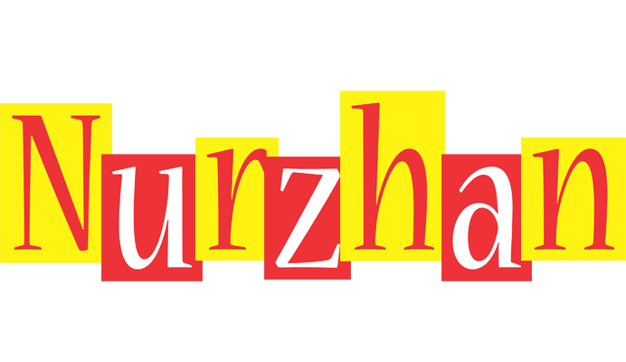 Nurzhan errors logo