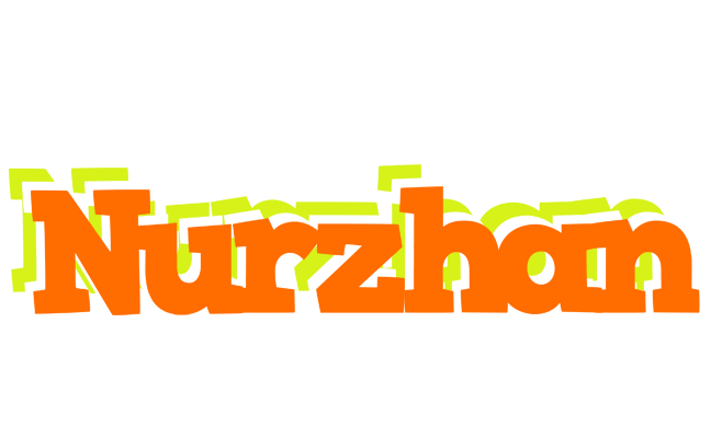 Nurzhan healthy logo