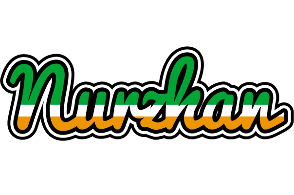 Nurzhan ireland logo
