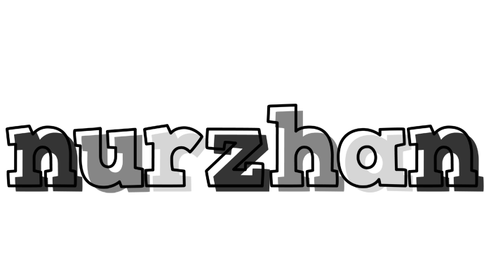 Nurzhan night logo