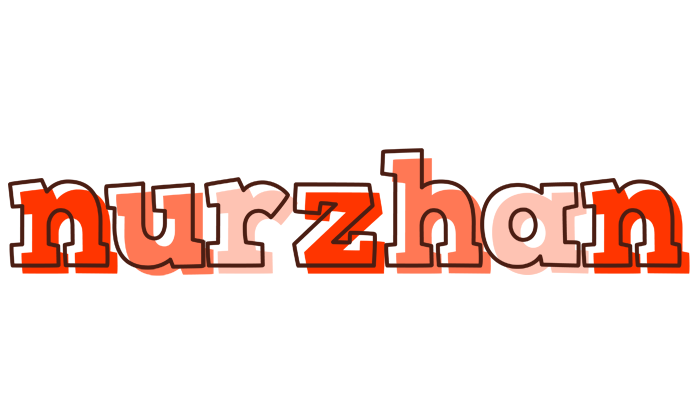 Nurzhan paint logo