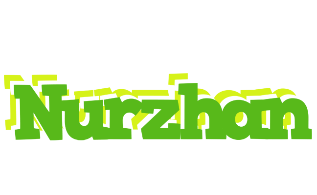 Nurzhan picnic logo
