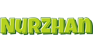Nurzhan summer logo