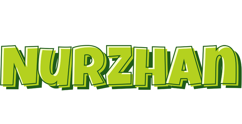 Nurzhan summer logo
