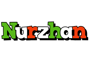 Nurzhan venezia logo
