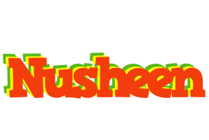 Nusheen bbq logo