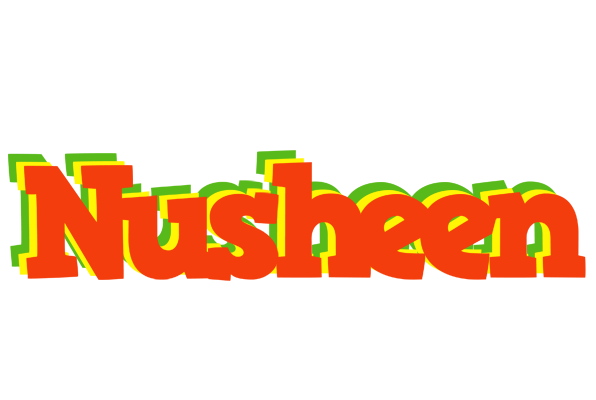 Nusheen bbq logo