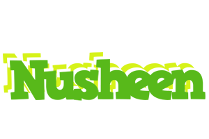 Nusheen picnic logo