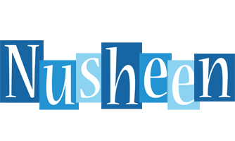 Nusheen winter logo