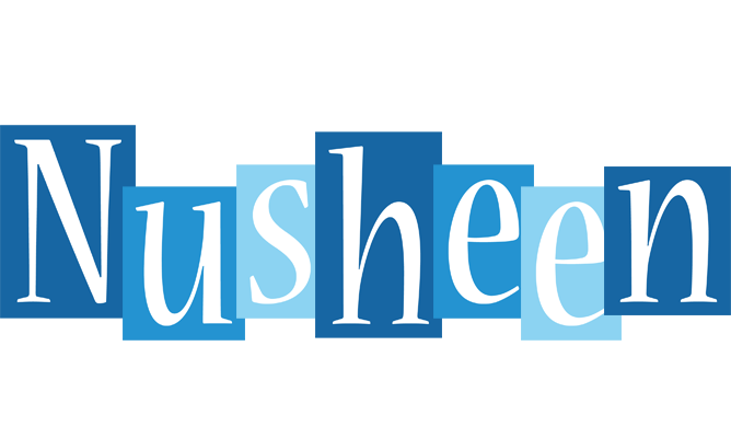 Nusheen winter logo