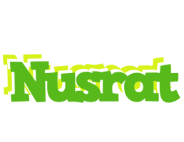 Nusrat picnic logo