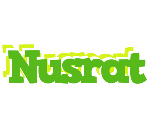 Nusrat picnic logo
