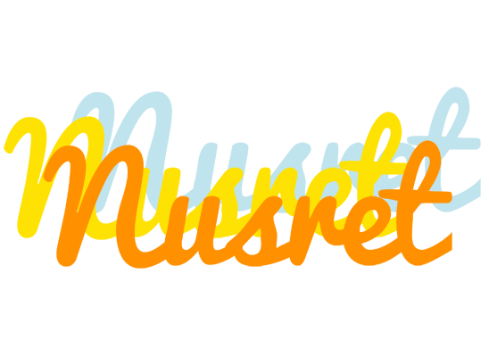 Nusret energy logo