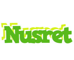 Nusret picnic logo