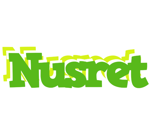 Nusret picnic logo