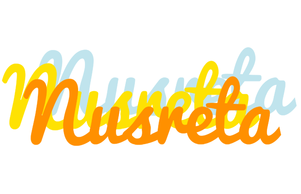 Nusreta energy logo
