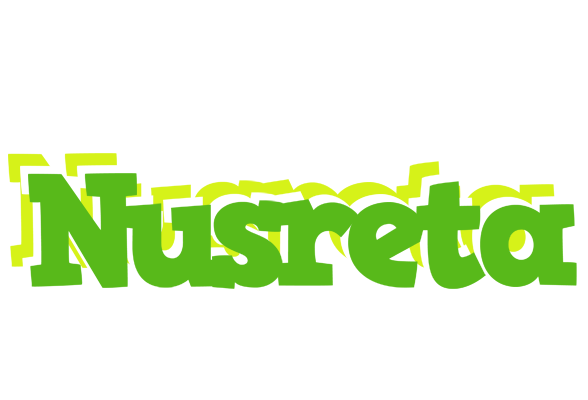 Nusreta picnic logo