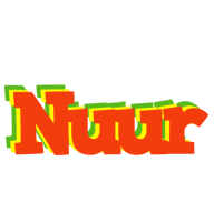 Nuur bbq logo