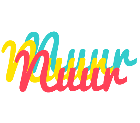 Nuur disco logo