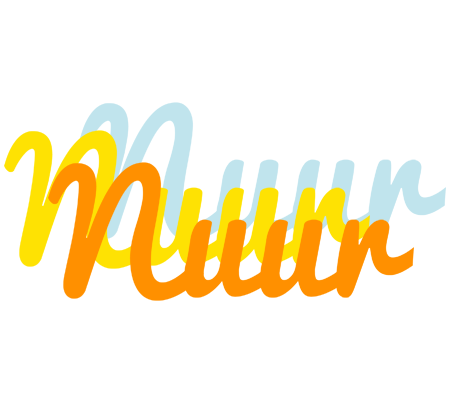 Nuur energy logo