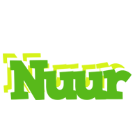 Nuur picnic logo