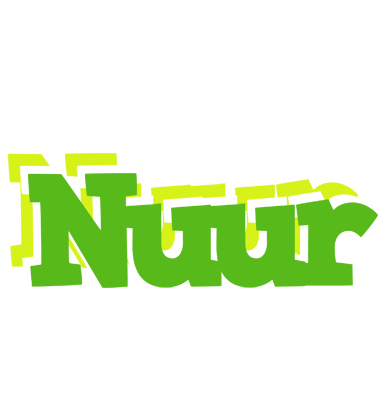 Nuur picnic logo